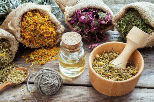 Лекарственные травы и сборы для вашего здоровья