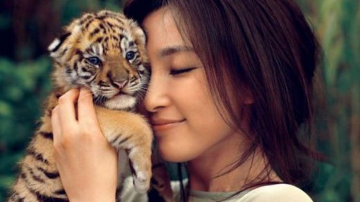 Международный день тигра отмечается 29 июля