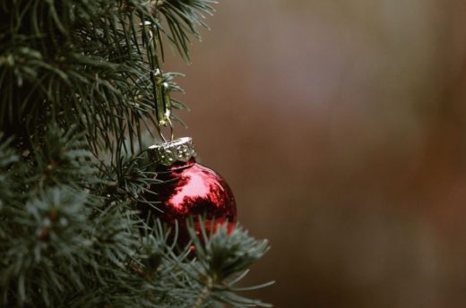 Как выбрать красивую новогоднюю елку: советы при покупке