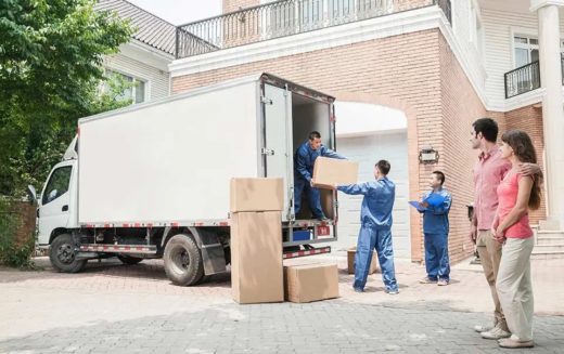 Why Choose Professional Carriers for Cargo Transportation