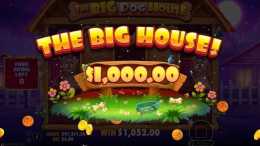 The Big Dog House