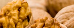 Грецкий орех — кладезь витаминов