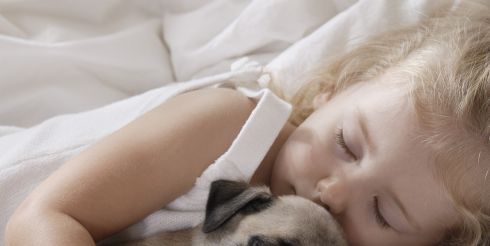 Что нужно знать о воспитании маленькой собаки?