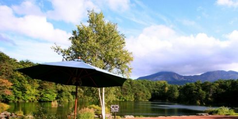 Как обустроить территорию возле дачи?