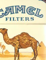 Camel: каплей никотина верблюда не свалишь