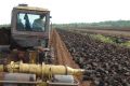 Добыча торфа в России и производство удобрений