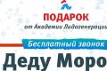 Социальный проект «Бесплатный звонок Деду Морозу» начал работать в Казани