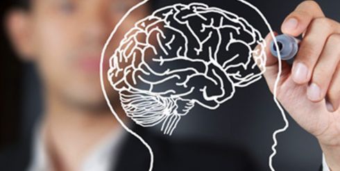 Восприятие мира влияет на работу головного мозга