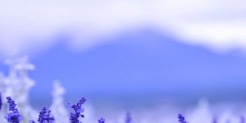 Помощник, природою данный