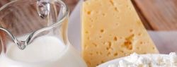 Французские ученые: свежие молочные продукты – признак здоровой диеты