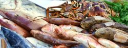 Ученые нашли в рыбе разрушающие иммунитет человека вещества