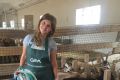Волонтеры «Ешь Российского» посетили Ферму «Хутор Метель Спиридоново Подворье»