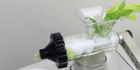 Как выбрать шнековую соковыжималку? Рекомендации от специалистов Juice Makers