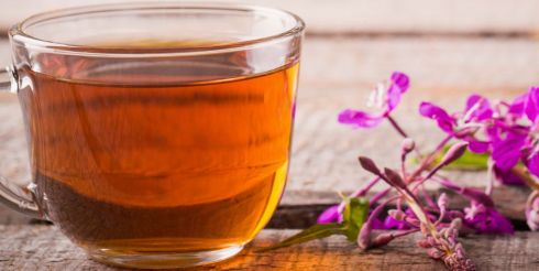 Иван чай (кипрей): полезные свойства