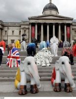 Парад слонов в центре Лондона (фото)