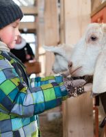 11-12 Марта Городская ферма ВДНХ «Тимофей Весновей»