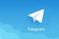 Telegram-бот поможет «Фокс-Экспресс» общаться с клиентами