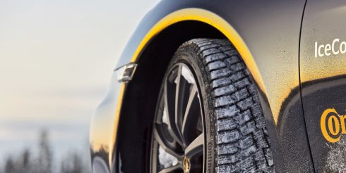 10 фактов о шипах от Continental