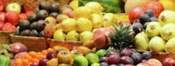 NART FRUIT STOCK – единственная в России распродажа сезонных овощей и фруктов высокого качества