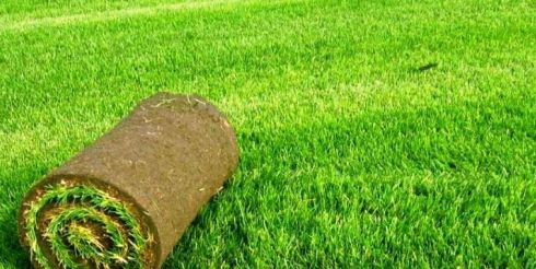 Из чего складывается цена на укладку газона?