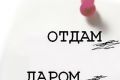 Отдам даром: что чаще всего россияне дарят в Интернете?