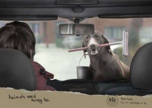Лучшая реклама с собаками