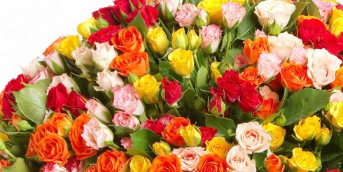 Как собрать букет из роз