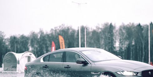 Continental следит за глобальными изменениями климата