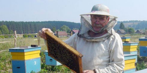 Где купить все необходимое для пчеловодства?