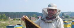Где купить все необходимое для пчеловодства?