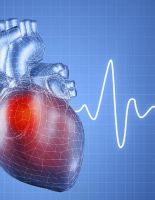 Что нужно знать перед визитом к кардиологу?