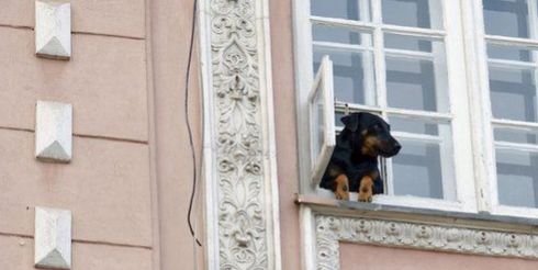 Названы любимые этажи покупателей московских новостроек