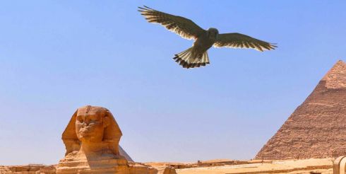 Сокровища Древнего Египта