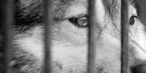 Словом и делом