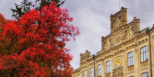 Бьют часы на старой башне…