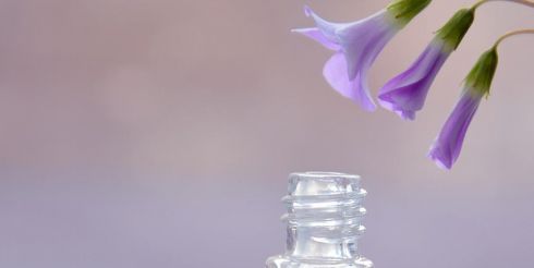 Правильный выбор духов. На что следует обратить внимание