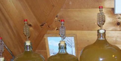 Сидр в домашних условиях