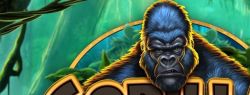 Невероятные приключения в джунглях Gorilla Gold Megaways