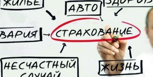 Виды страхования от компании «Полис 812» — обзор и особенности