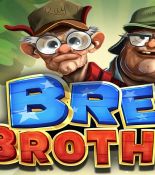Почему Brew Brothers стал культовым: разбираем слот, который покорил хайроллеров