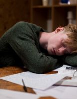 Преддипломная практика: почему она всегда приходит «не вовремя» и чем спасаются студенты