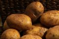 Как поторопить ранний картофель?
