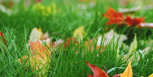 Ваше здоровье в октябре. Избегайте стрессов и берегите глаза