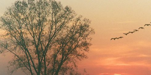 18 октября: это интересно знать