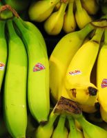 Бананы нужно есть зелеными, а картошку — холодной
