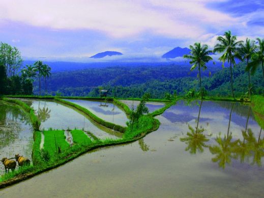 Индонезия: экзотическая сказка