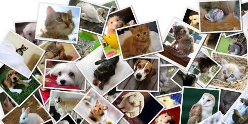 Ученые использовали наночастицы для печати фото с рекордным качеством