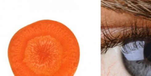 Еда полезна для той части тела, на которую похожа