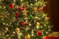 Истоки традиции украшать новогоднюю елку