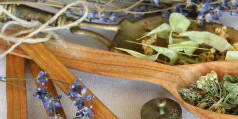 Природа на страже здоровья